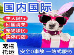遥墙航空快递国际宠物托运 【国
